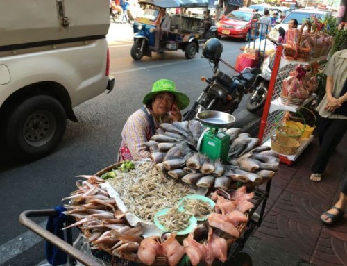 Chatuchak-Thailands berühmtester Markt